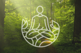 Thumbnail for the post titled: Taller Sanación Intuitiva